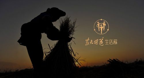 生活稼·生鮮超市設(shè)計(jì)